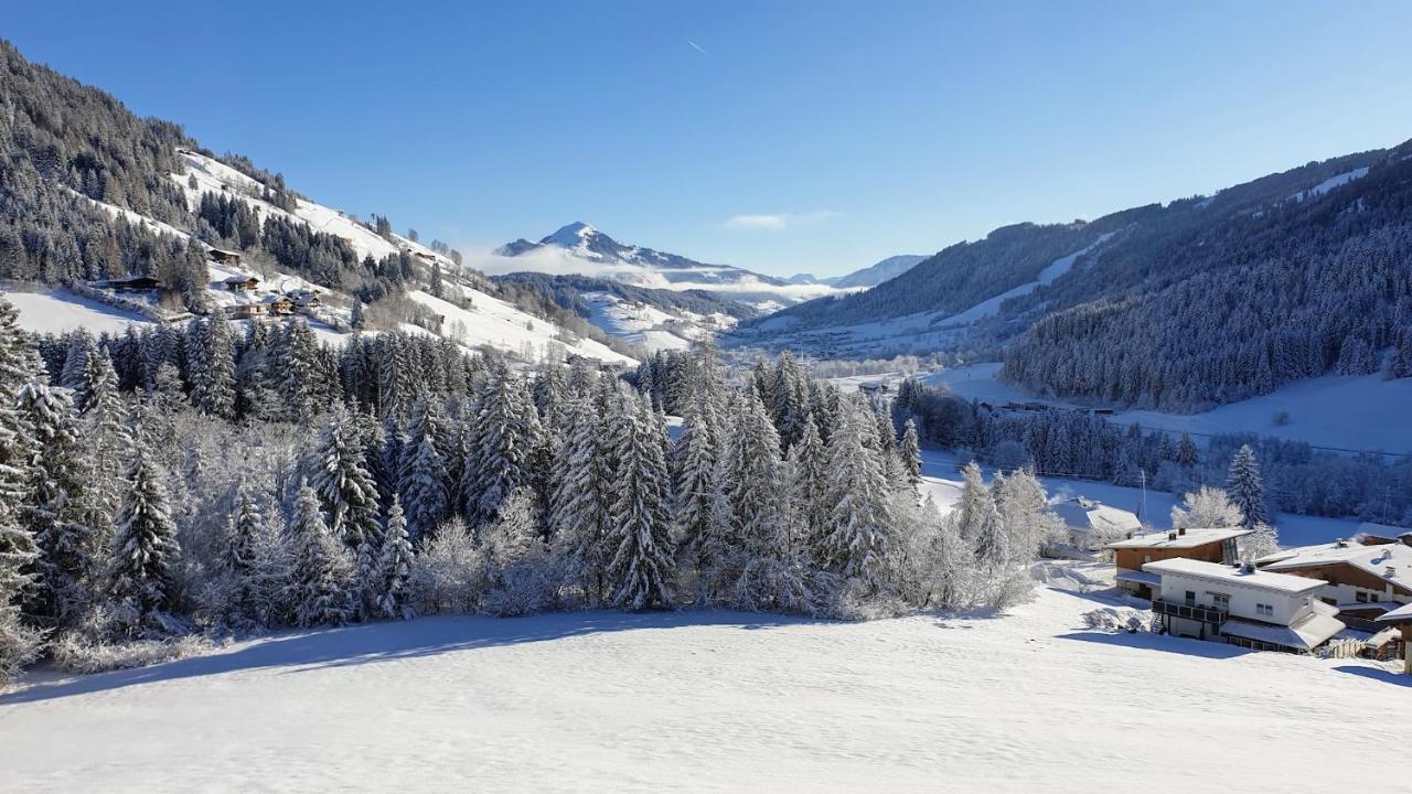 Ferienwohnung Zauberwinkelweg Mit Traum-Aussicht! Wildschoenau Exterior foto